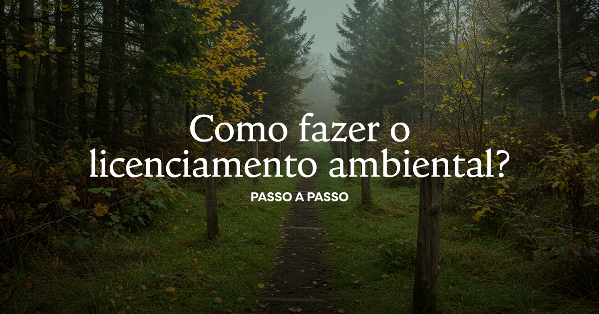 Como fazer o Licenciamento Ambiental? Passo a Passo